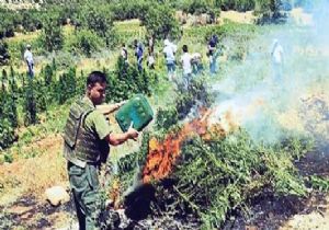 PKK ELABAŞISI ÇILDIRDI!