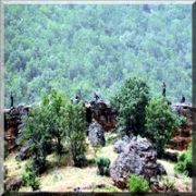 TUNCELİ DE BÜYÜK OPERASYON