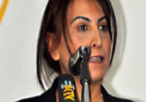 AB DEN, TUĞLUK KARARINA TEPKİ