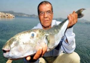 SİYANÜR DEN 50 KAT DAHA ZEHİRLİ BALIK!