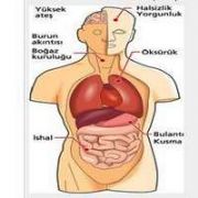 İŞTE DOMUZ GRİBİNDEN KORUNMANIN YOLLARI