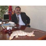 SİLOPİ EJDERHASI KORUMAYA ALINDI