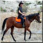 MAHALLENİN KOVBOY MUHTARI