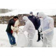 ANKARA NALLIHAN DA KUŞ GRİBİ TESBİTİ