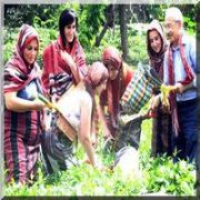  RECEPLE OLSA OYNARDIK 