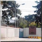 NATO YEŞİL SERMAYE NİN PEŞİNDE