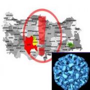 RİZE İÇME SUYUNDA NEROVİRÜS TESPİT EDİLDİ