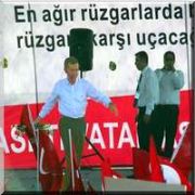 FARELER, TİLKİLER. TAVŞANLAR...