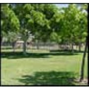 KONYADA ERKEKLERE YASAK PARK!