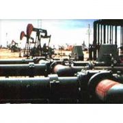 PETROL DENİZİ BULUNDU!