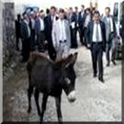 PROTOKOLE DAHİL OLAN EŞEK