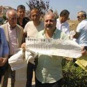  ÇÖPTEKİ OYLARA  İLGİNÇ YORUM