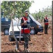 ŞANLIURFA DA SİLAHLI KAVGA:4 ÖLÜ