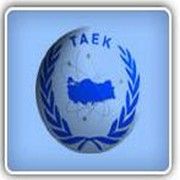 22 YIL ÖNCE NE YEDİĞİNİ HATIRLAYANA ÇERNOBİL TESTİ