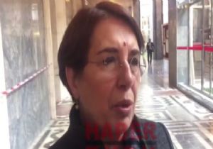 Almanya ya Ayşenur Bahçekapılı Fırçası