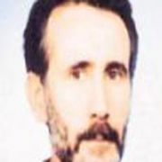 YEŞİL İN ALBÜMÜ VE SIRLARI