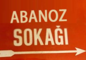 Belediye, Abanoz u Müstehcen Buldu!
