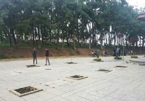 Miting İçin Ağaç Kestiler!