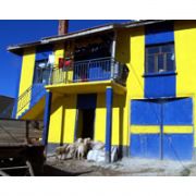 FANATİK FENERLİ  NEREYİ GÖRSE SARILACİVERTE BOYUYOR
