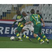 ANTALYA CUP FUTBOL TURNUVASI, FENER FARKLI GALİP 4-1