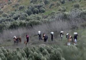 İŞTE TÜRKİYE YE SIĞINAN SURİYELİ SAYISI