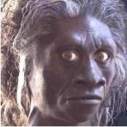 500 BİN YILLIK  VEREMLİ HOMO ERECTUS  FOSİLİ DENİZLİ DE 