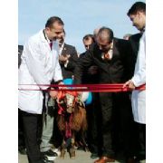 TARIM BAKANINA 4 BOYNUZLU KOÇ
