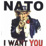 NATO ASKERİ İŞLERİ BIRAKTI HAMSİ PEŞİNE DÜŞTÜ