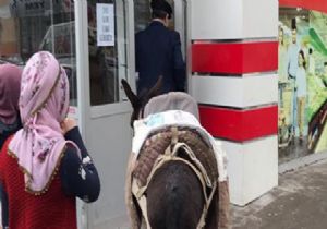 Paralı Poşete Eşekli Protesto