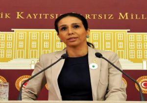 CHP li Vekilden Çocuk İstismarı İsyanı