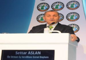 SettarAslan Güven Tazeledi 