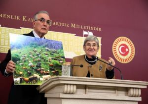 Canan Karatay, Bu Kez Vekillere Seslendi