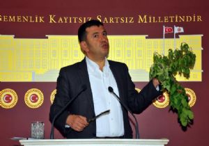 MALATYA LI VEKİLİN  DON  İSYANI